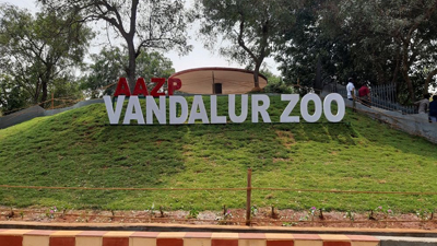 vandalur zoo1